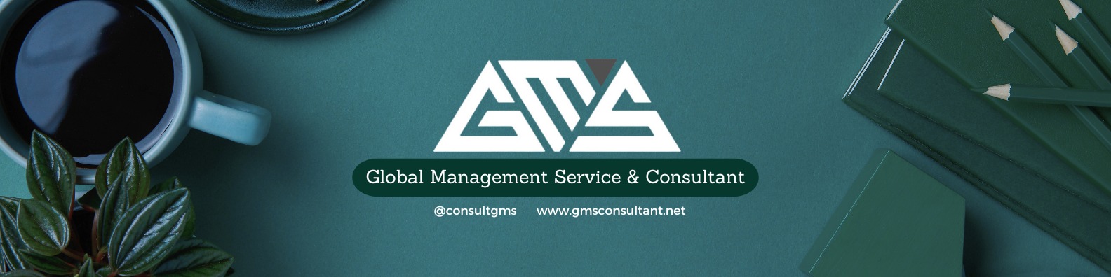 GMS Image